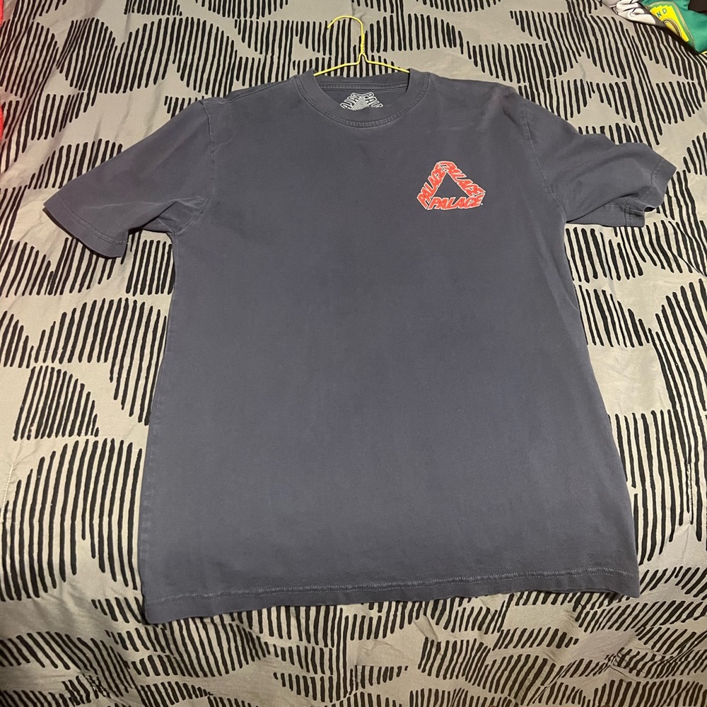 Skate board  palace t shirt